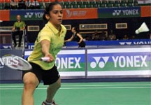 saina216.jpg