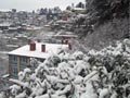 Winter chill in north India; fog affects 30 flights in Delhi