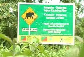 Assam_elephant_village_moving_295_2.jpg