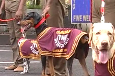 Tamil Dog
