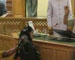 Uproar in J&K Assembly over Shopian case
