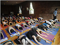 Yoganewmidpic1.jpg