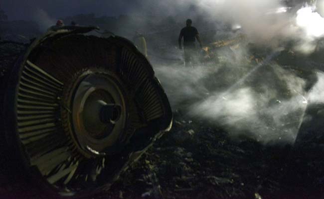 http://www.ndtv.com/news/images/story_page/malaysia_airlines_mh17_debris_afp_650.jpg
