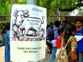 10 facts about Delhi University's four-year undergraduate programmes from this year