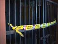 Assault on six-year-old: Teenage boy detained