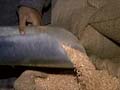 Lok Sabha fails to pass Food Security Bill
