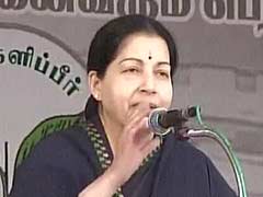 Tamil Nadu Chief Minister News: Find Latest News on Tamil Nadu.