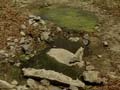 Drought-hit Kerala and Tamil Nadu reach out to help each other over water sharing