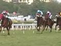 Convert Mumbai's Mahalaxmi Race Course into theme park, says Uddhav Thackeray