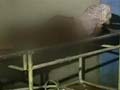 Man left to die in corridor of Jammu hospital