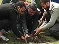 Young volunteers trying to recover the Valley's green treasure