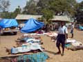 No international probe mandated in revised US resolution on Sri Lanka