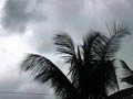 Heavy rains lash Bangalore, cripple normal life