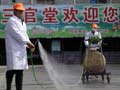 New bird flu may be capable of human to human spread: study