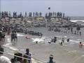 Kudankulam controversy: Supreme Court refuses to stay fuel loading at nuclear plant