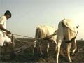 Gujarat farmers protest Narendra Modi government's proposal for special investment regions