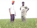 With 68 per cent below normal rainfall, Punjab on the verge of drought 