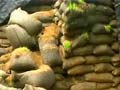 Drought stares at Maharashtra, but rice worth Rs 250 crores rots