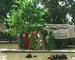 Uttar Pradesh: Flood situation grim