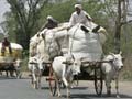 Farmers protest hits traffic in Odisha