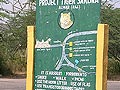 Sariska tiger death: 2 forest officials suspended