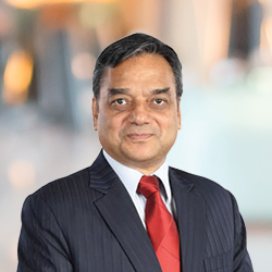 Mr. Dinesh Kumar Mittal