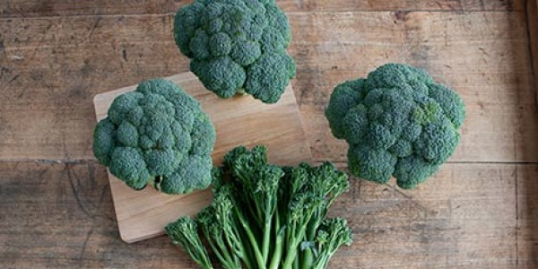 Good.for.you.broccoli.600.jpg