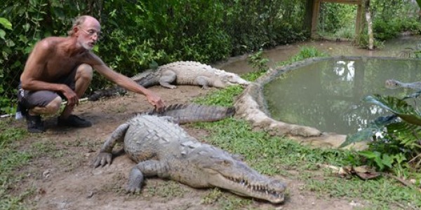 Jamaica.Crocodile2_600.jpg