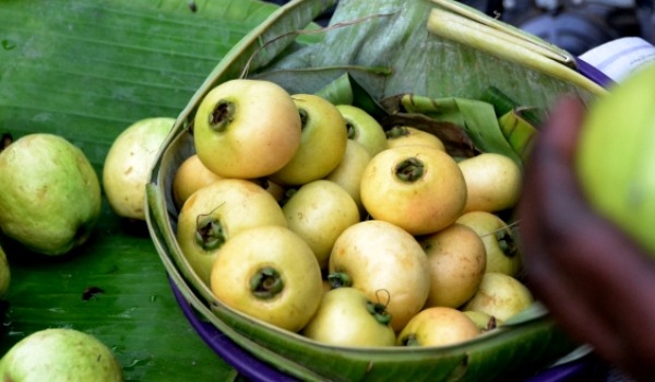 The Indian Fruit That Youve Probably Never Heard Of! - NDTV Food