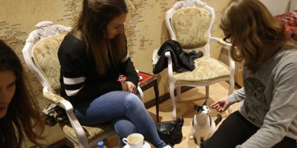 cat-cafe_article.jpg