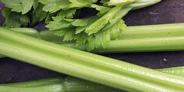 celery_600.jpg