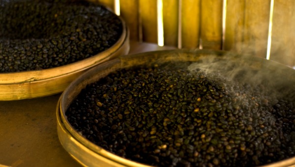 kopi-luwak-roasted_article.jpg