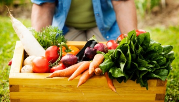 organic-food_600.jpg