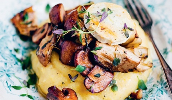 polenta-mushroom-600.jpeg