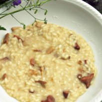 Porcini Risotto