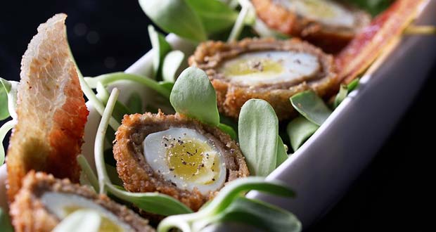 Quail Scotch Eggs with Micro Green Salad