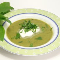 Spinach & Cauliflower Soup