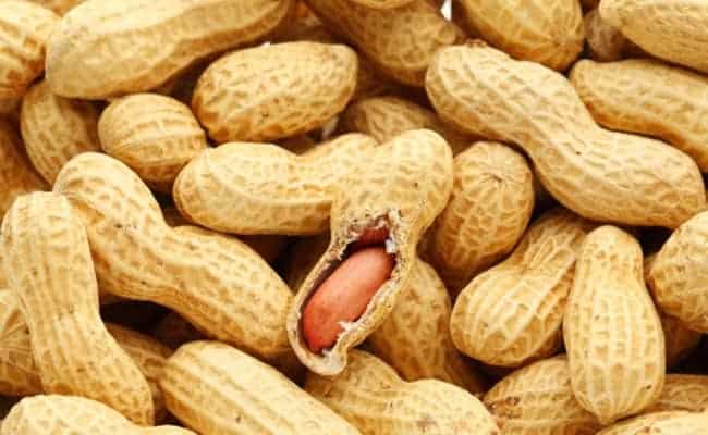 Peanuts are rich in protein and can be included in weight loss diet