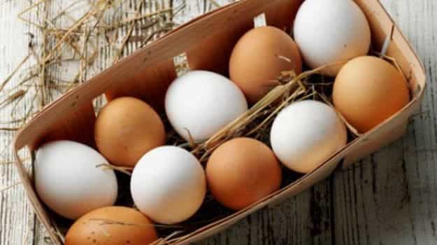 Eggs are not the only protein-rich food, there are more options