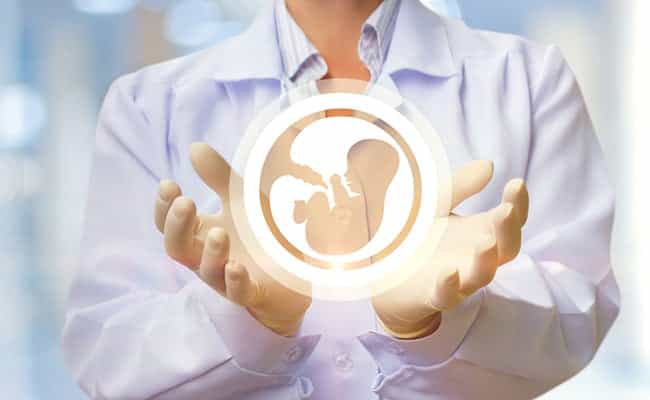 IVF is one of the most effective forms of assistive reproductive technology