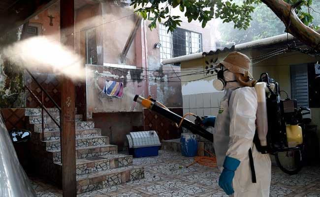 the drop in Zika cases in Brazil is due to the end of summer, with mosquitoes thriving less in colder temperatures. (AFP Photo)