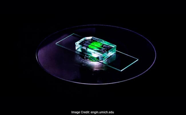 This is believed to be the first time such a device has been used to study how a medication behaves in the body over time.