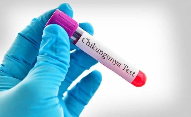 Chikungunya is a mosquito-borne virus that is characterised by fever and severe joint pain.