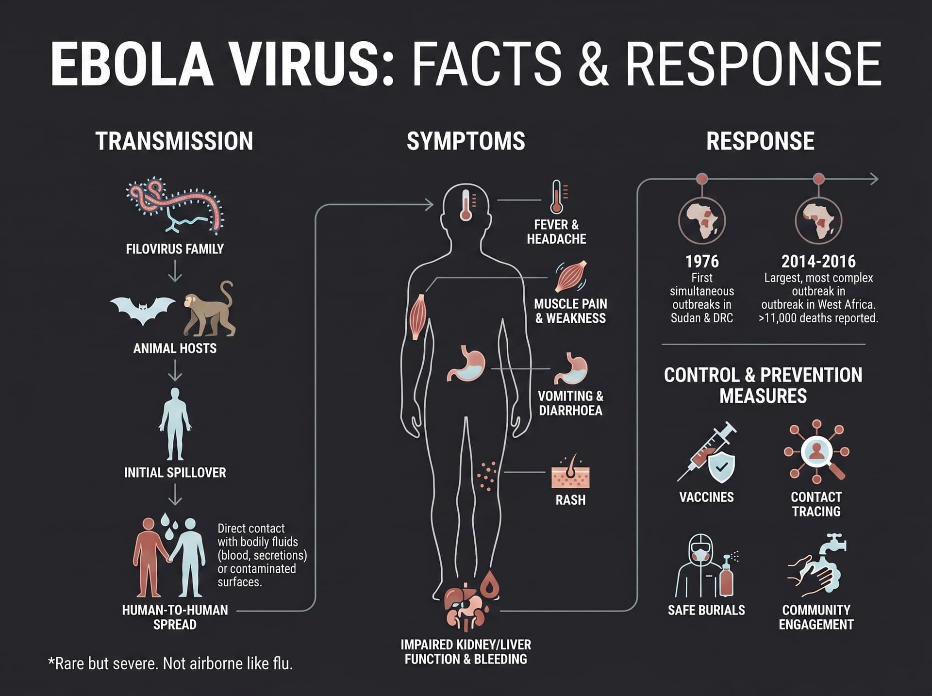 Ebola Outbreak: Why RT-PCR Is The Gold Standard For Testing Infections