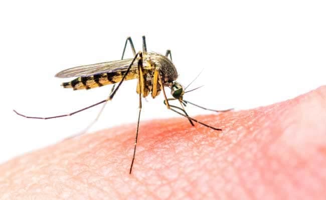 What Is Zika Virus? Here's What You Should Know
