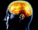 Epilepsy effects one percent or more of the population. It is one of the commonest neurological disorder, but is eminently treatable.