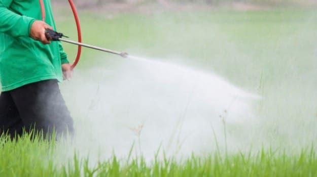 Opting for organic foods is a healthier choice as compared to non-organic foods