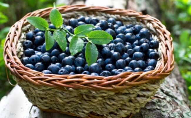 Some foods boost your metabolism and induce weight loss