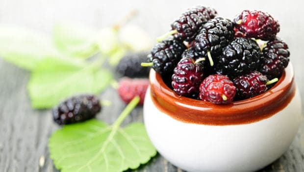 Flavonoid-rich berries may slow lung function decline due to ageing