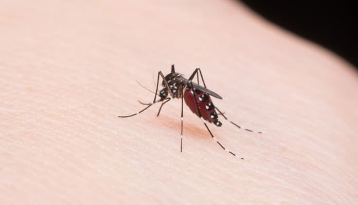 7 Most Effective Home Remedies For Chikungunya